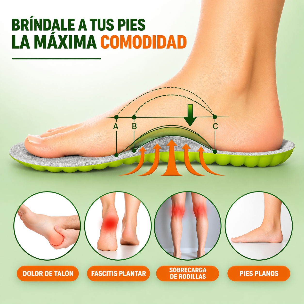 Plantilla Ortopédica